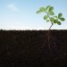 soil conservation kerala