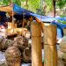 theliyoorkavu vanibham