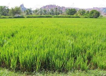 karduka block panchayath