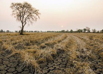 protect crop from drought