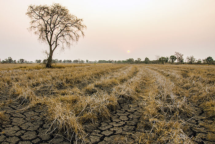 protect crop from drought