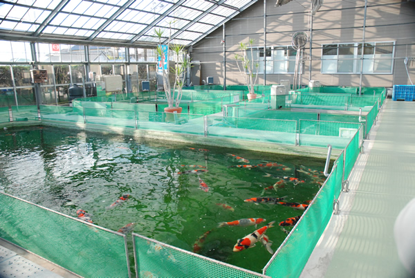 ernakulam fish farming