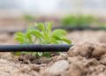 Applications are invited for the installation of micro irrigation systems in agricultural lands