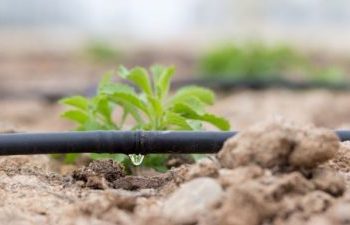 Applications are invited for the installation of micro irrigation systems in agricultural lands