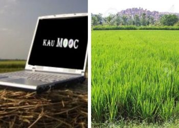 kau mooc