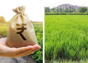krishi budget