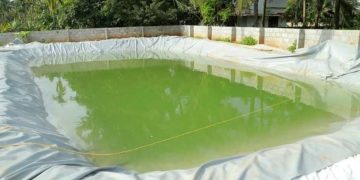 pplications are invited for biofloc fish farming in ponds
