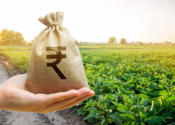 India’s agriculture budget is allocated for subsidies and welfare schemes