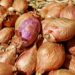 Onion price will rise more