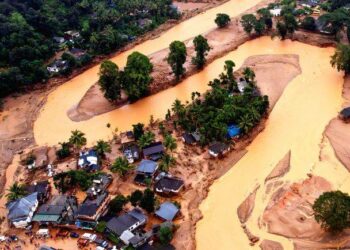 2.5 crores loss in animal sector due to Wayanad Landslide