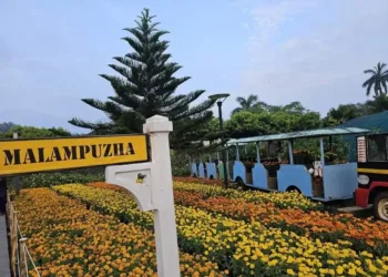 The Malampuzha Flower Festival will begin today