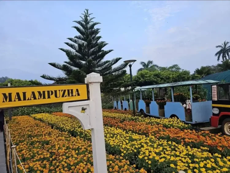 The Malampuzha Flower Festival will begin today